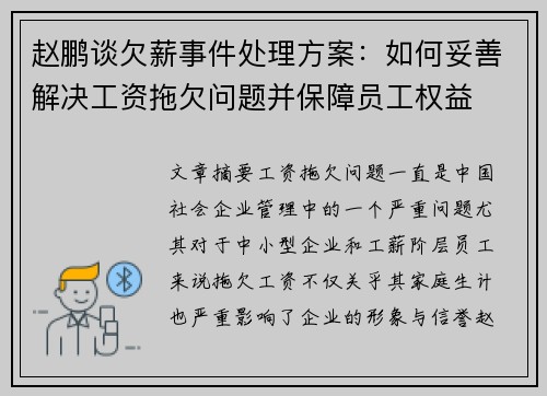 赵鹏谈欠薪事件处理方案：如何妥善解决工资拖欠问题并保障员工权益